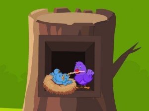 Feathered Family Escape