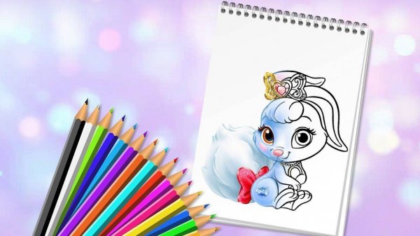 Animal Coloring Fun Game