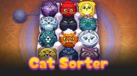 Cat Sorter Puzzle Game