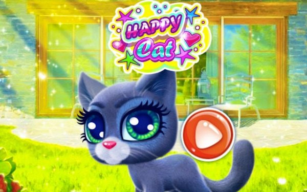 Feline Friends: Grooming & Style