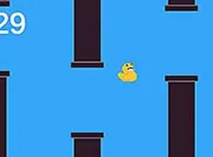Calm Mallard Aerial Challenge